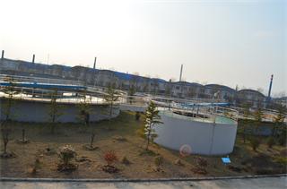 20140606084309_1093.jpg